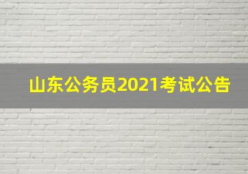 山东公务员2021考试公告