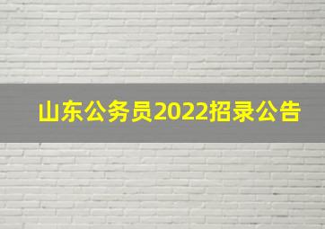 山东公务员2022招录公告