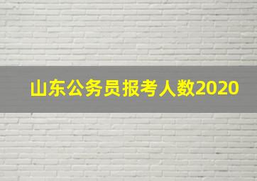 山东公务员报考人数2020