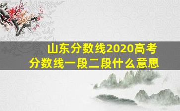 山东分数线2020高考分数线一段二段什么意思