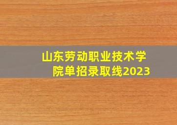 山东劳动职业技术学院单招录取线2023