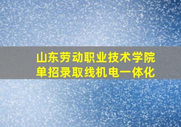 山东劳动职业技术学院单招录取线机电一体化