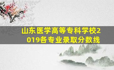 山东医学高等专科学校2019各专业录取分数线