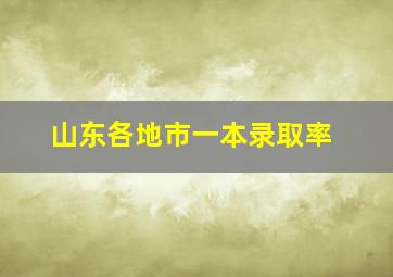 山东各地市一本录取率