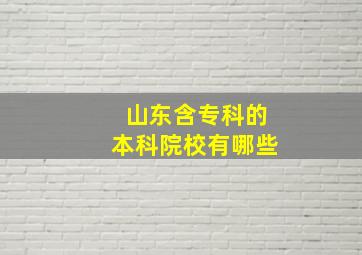 山东含专科的本科院校有哪些