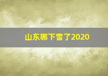 山东哪下雪了2020