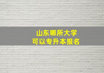 山东哪所大学可以专升本报名