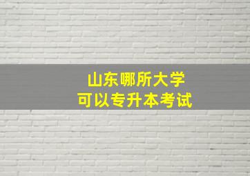 山东哪所大学可以专升本考试