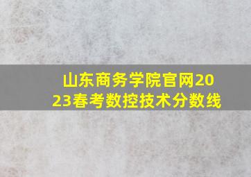 山东商务学院官网2023春考数控技术分数线