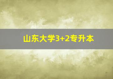 山东大学3+2专升本