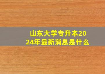 山东大学专升本2024年最新消息是什么