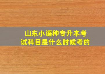 山东小语种专升本考试科目是什么时候考的