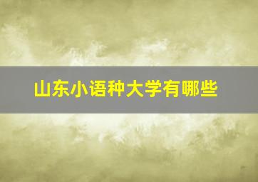 山东小语种大学有哪些