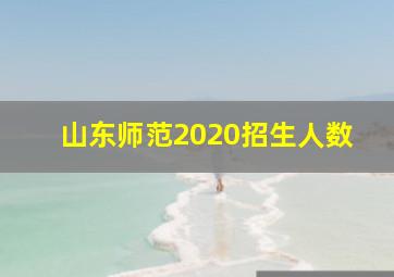 山东师范2020招生人数