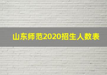 山东师范2020招生人数表