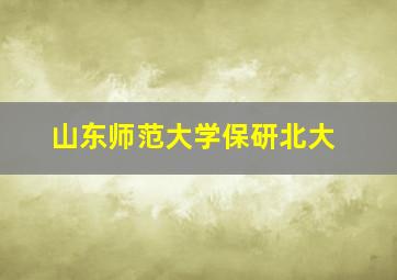 山东师范大学保研北大