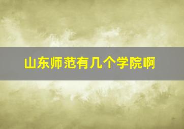 山东师范有几个学院啊