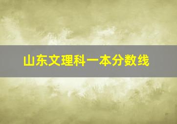 山东文理科一本分数线