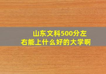 山东文科500分左右能上什么好的大学啊