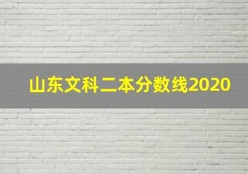 山东文科二本分数线2020