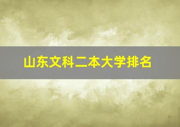 山东文科二本大学排名