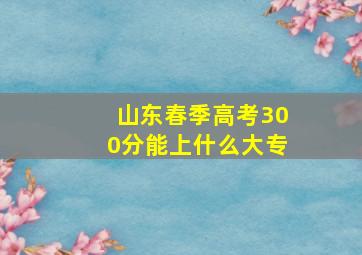 山东春季高考300分能上什么大专