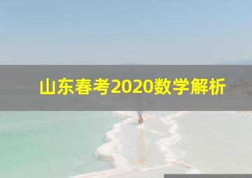 山东春考2020数学解析