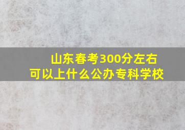 山东春考300分左右可以上什么公办专科学校