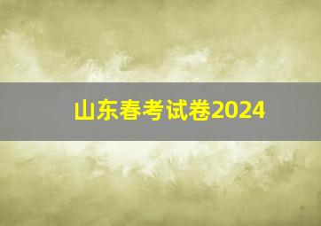 山东春考试卷2024