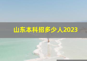 山东本科招多少人2023