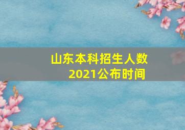 山东本科招生人数2021公布时间