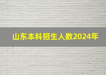 山东本科招生人数2024年