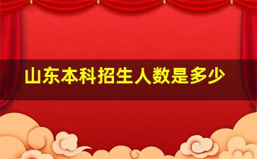 山东本科招生人数是多少