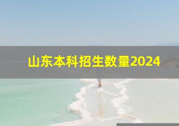 山东本科招生数量2024