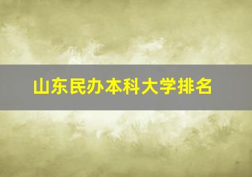 山东民办本科大学排名