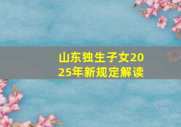 山东独生子女2025年新规定解读