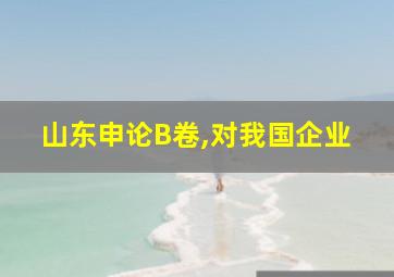 山东申论B卷,对我国企业