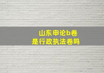 山东申论b卷是行政执法卷吗