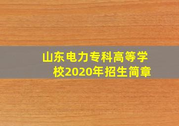 山东电力专科高等学校2020年招生简章