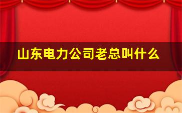 山东电力公司老总叫什么