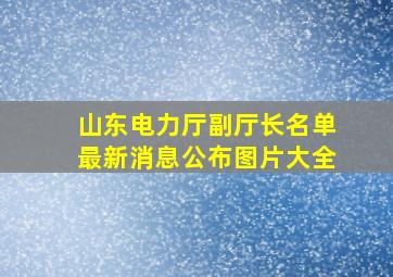 山东电力厅副厅长名单最新消息公布图片大全