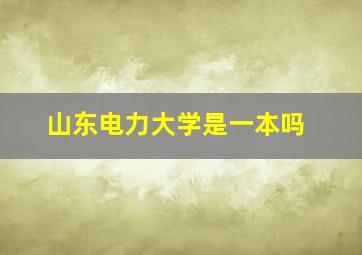 山东电力大学是一本吗