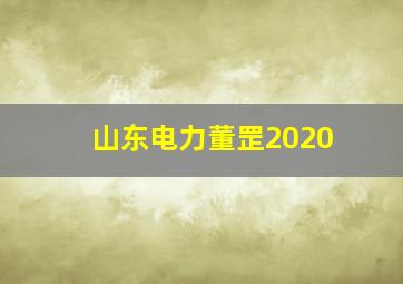 山东电力董罡2020