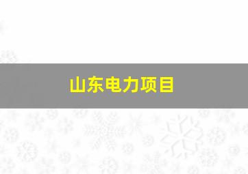 山东电力项目