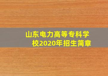 山东电力高等专科学校2020年招生简章