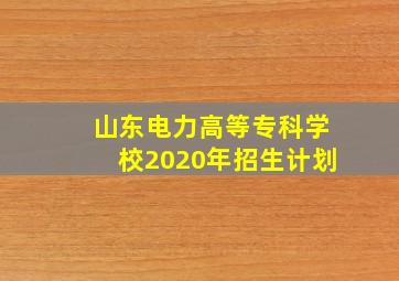 山东电力高等专科学校2020年招生计划