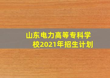 山东电力高等专科学校2021年招生计划