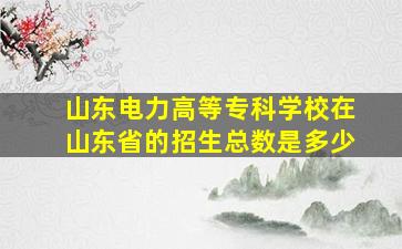 山东电力高等专科学校在山东省的招生总数是多少