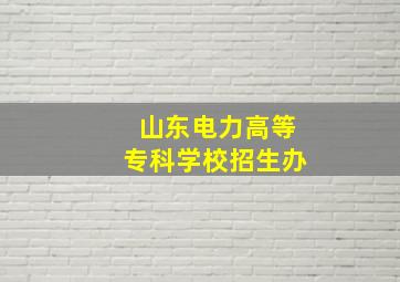 山东电力高等专科学校招生办