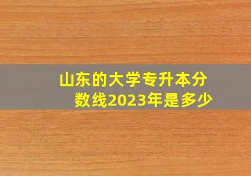 山东的大学专升本分数线2023年是多少